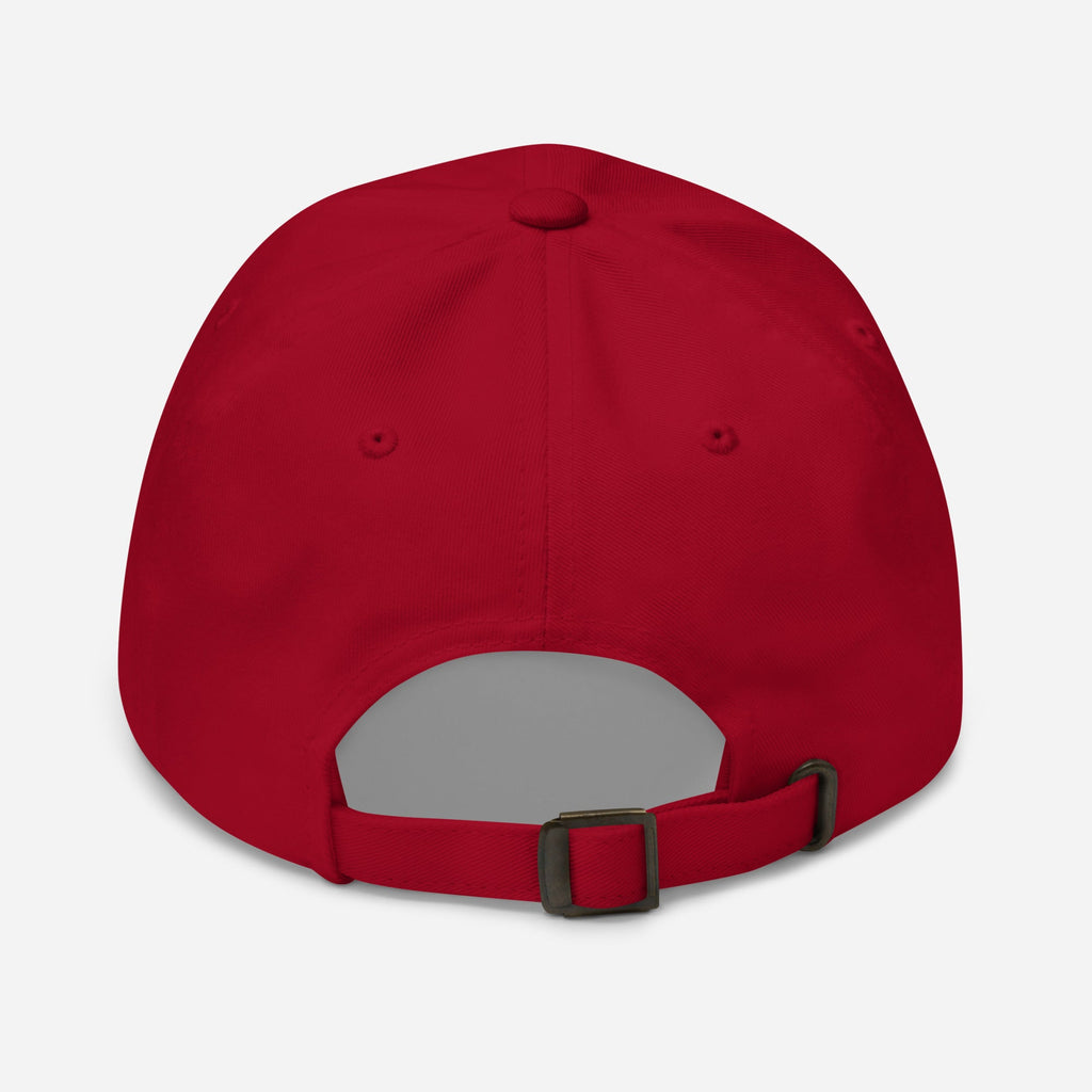 JVMΣZ | Dad hat